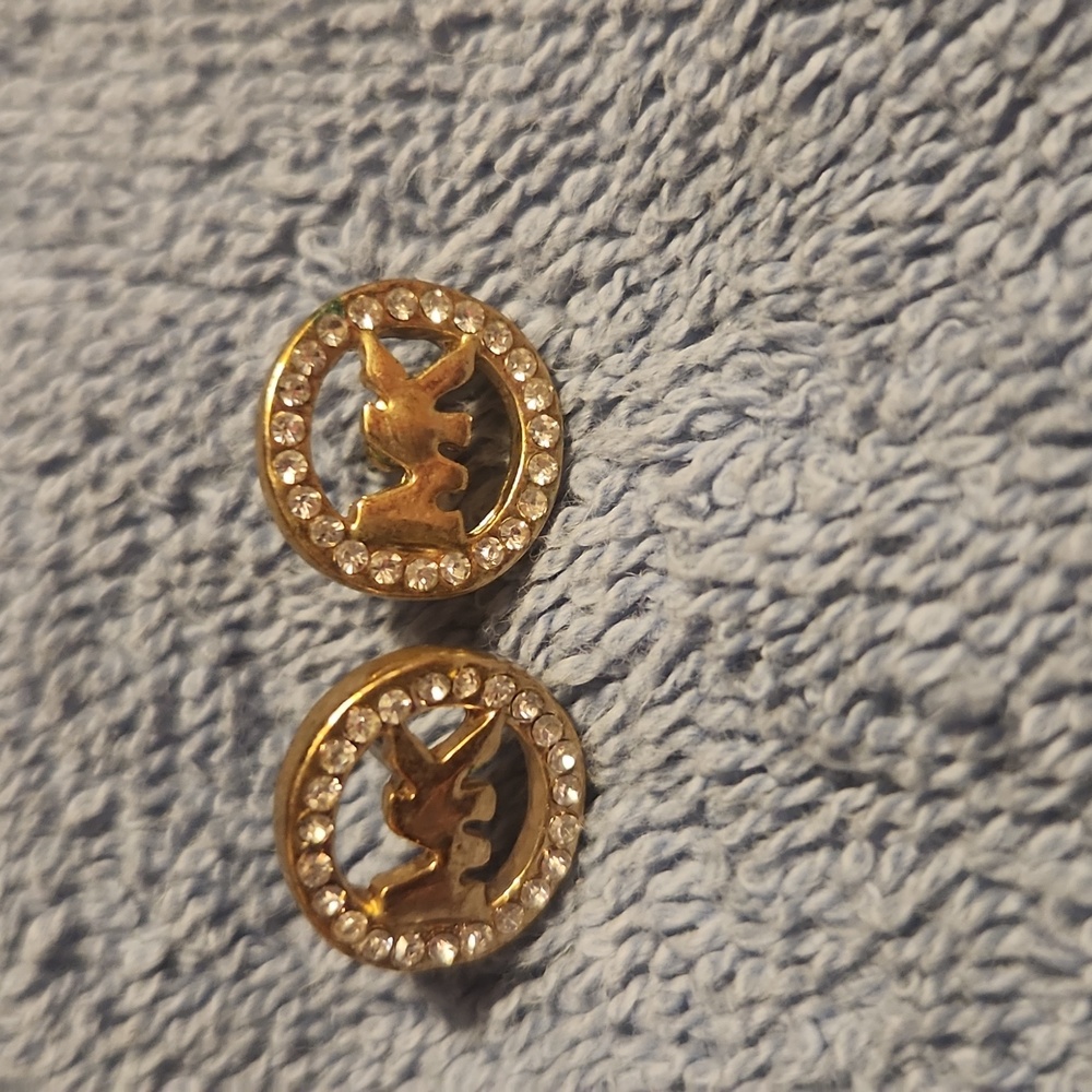 Michael Kors earrings